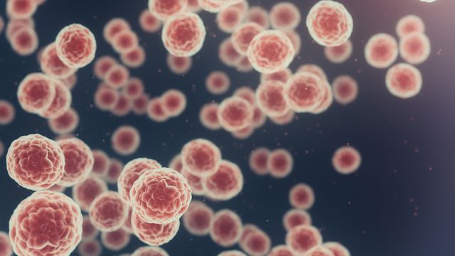 An illustration of numerous cancer cells floating against a dark background. 