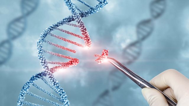 A snippet of a DNA helix being captured 