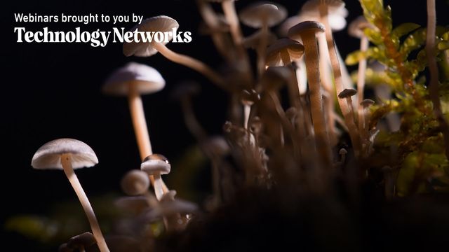 Implementation of the Nation’s First Regulatory Framework for Psilocybin Services 