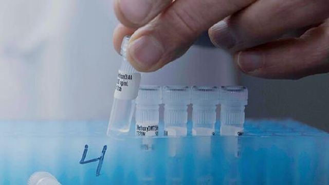 Testubes in lab 