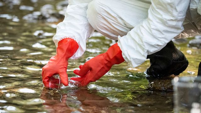 Someone taking a water sample. 
